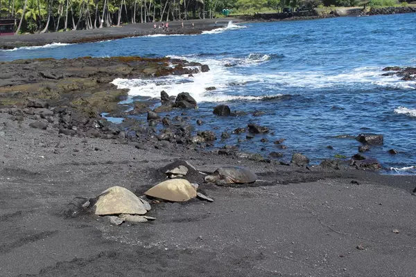 Naalehu, HI 96772,Punalu'u Rd