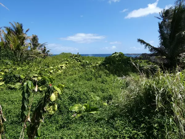 Keaau, HI 96749,ALA HEIAU AVE