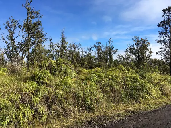 Volcano, HI 96785,11-2394 OMEKA ROAD