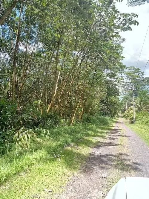 Pahoa, HI 96778,PIKAKE RD