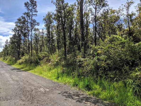 Volcano, HI 96785,Kokokahi  Road