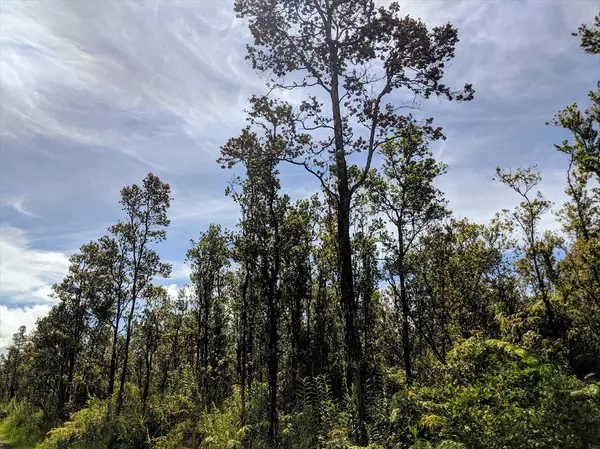 Kokokahi  Road, Volcano, HI 96785