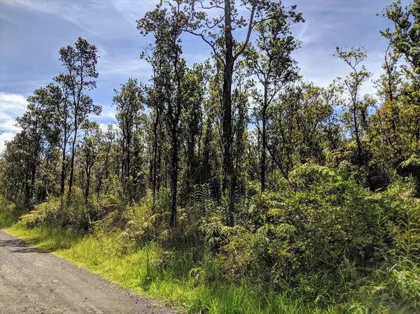 Kokokahi Road, Volcano, HI 96785