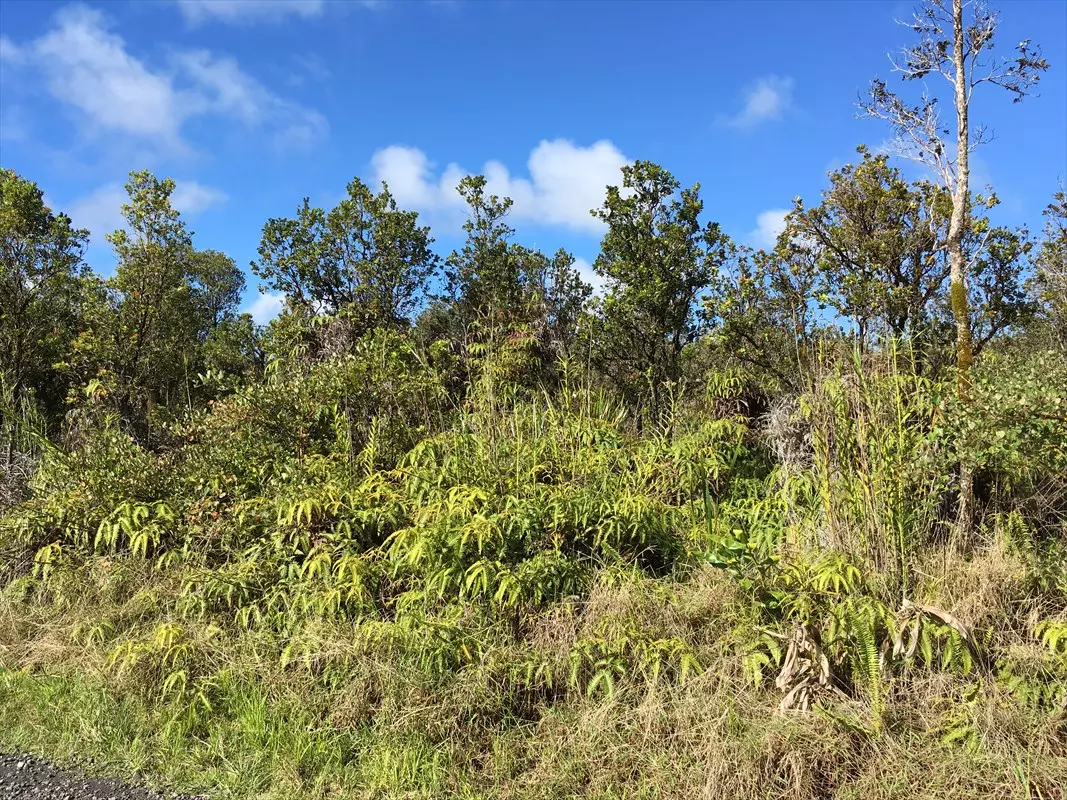 Mountain View, HI 96771,11-3161 Apuakehau Road