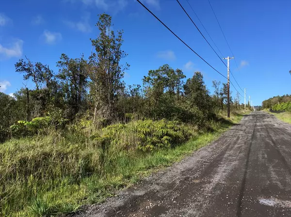 Mountain View, HI 96771,11-3173 Apuakehau Road