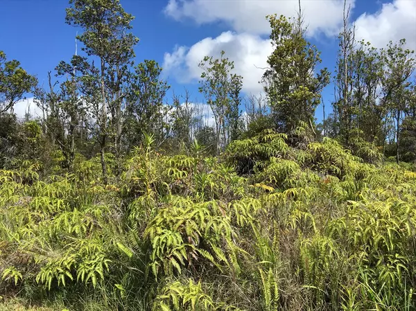 Volcano, HI 96785,11-2450 Kaleponi Drive