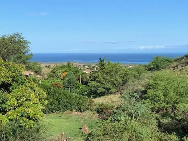 Waikoloa, HI 96738,68-3610 Malina St