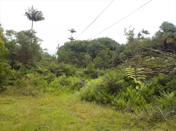 Mountain View, HI 96771,KAUAI ST