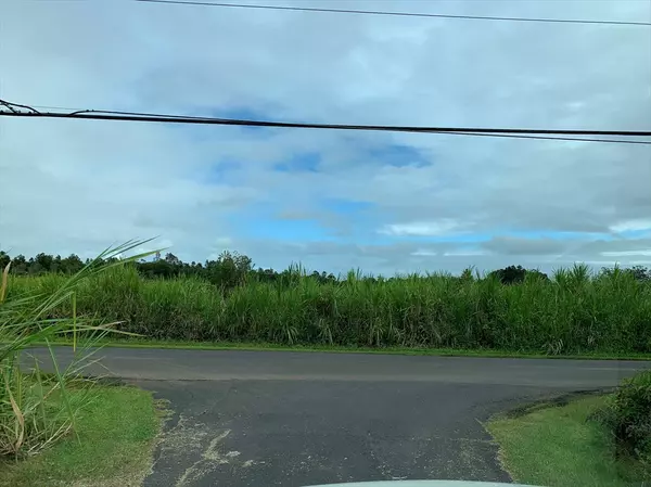 Mountain View, HI 96771,18-1974 Hapu'u Nani Road