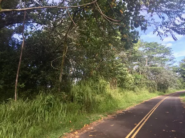 Keaau, HI 96749,RAILRD RD