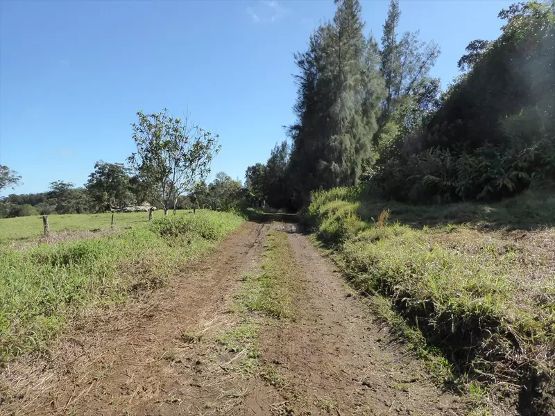 46-3621 PUAONO RD, Honokaa, HI 96727