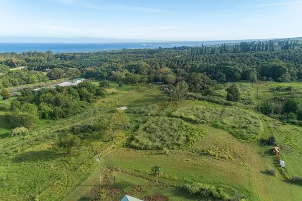 Pepeekeo, HI 96783,KULAIMANO RD