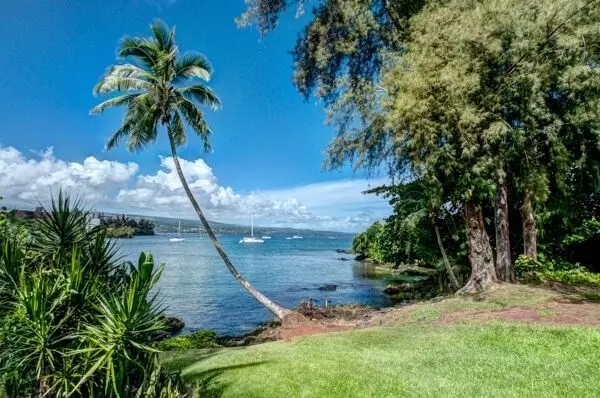 355 KALANIANAOLE ST #324, Hilo, HI 96720