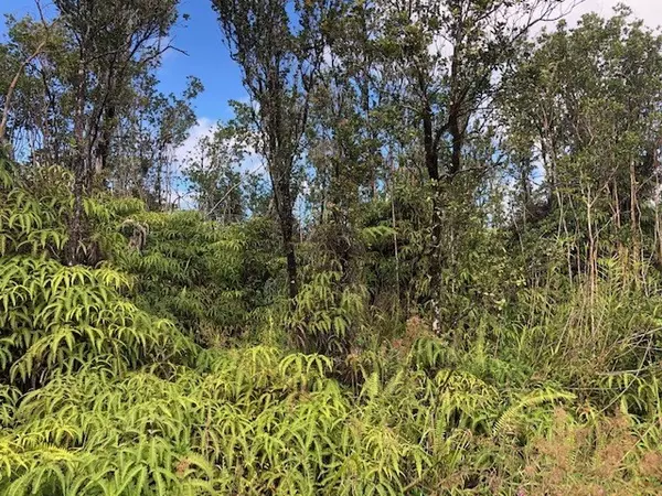 Volcano, HI 96785,KOKOKAHI RD