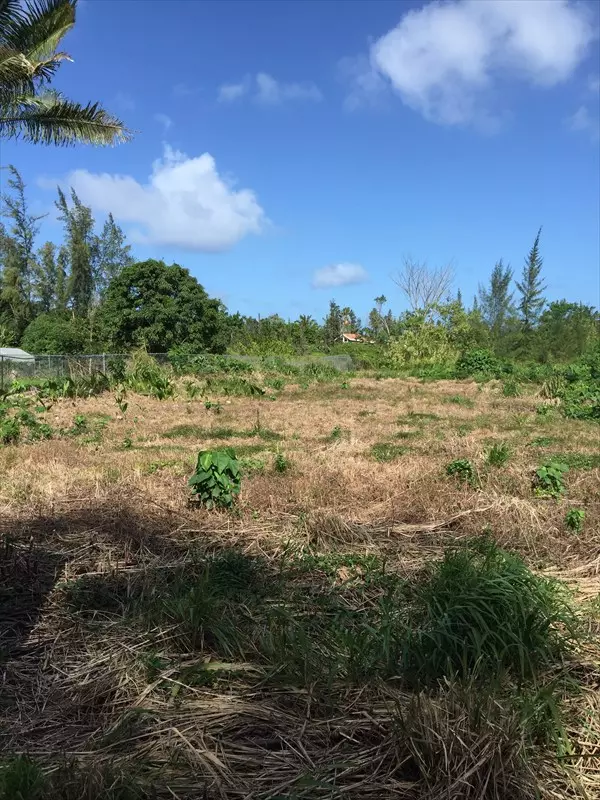 Keaau, HI 96749,AMAU RD