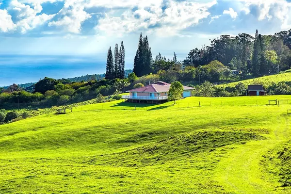 Honokaa, HI 96727,44-3071 KULA KAHIKO RD