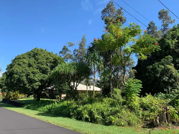 Pahoa, HI 96778,ANAE ST