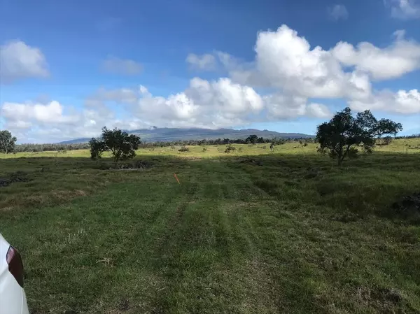 Kealakekua, HI 96750