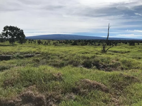 Kealakekua, HI 96750