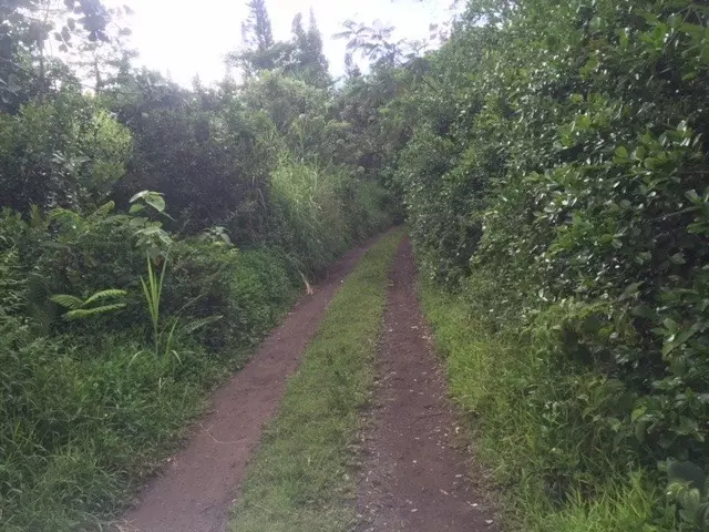 Pahoa, HI 96778,PUUA-KAPOHO RD