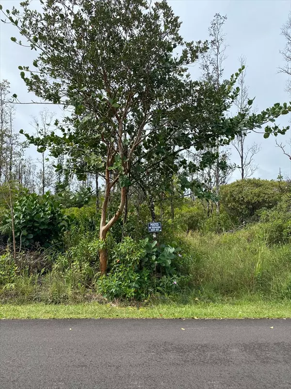 Pahoa, HI 96778,MACADAMIA DR