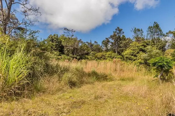 Volcano, HI 96785,11-3845-A Nahelenani Street