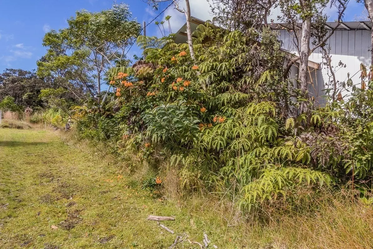 Volcano, HI 96785,11-3845-A Nahelenani Street