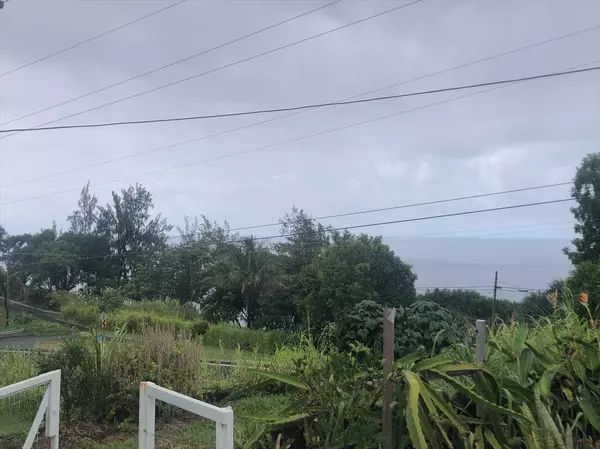 Laupahoehoe, HI 96774,36-2835 HAWAII BELT RD