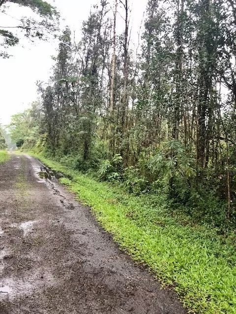 Pahoa, HI 96778,PIKAKE RD