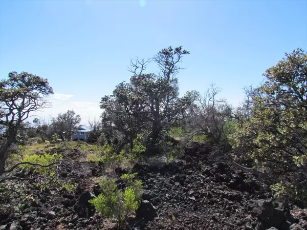 Ocean View, HI 96704,BAMBOO LANE