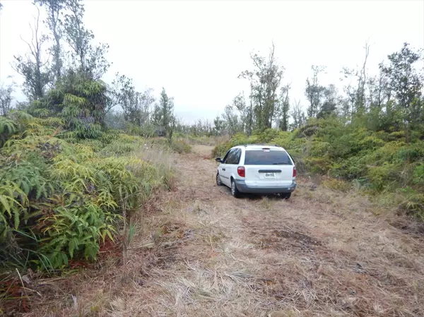 OMEKA RD, Volcano, HI 96785