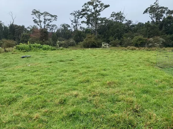 ALANUI IIWI, Volcano, HI 96785