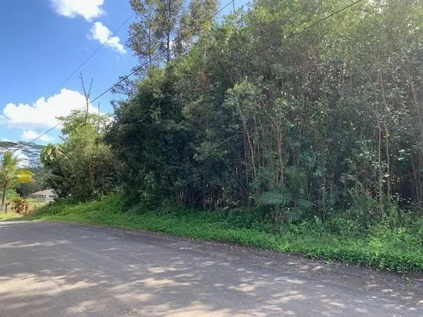 Keaau, HI 96749,Lot 370, 18TH AVE