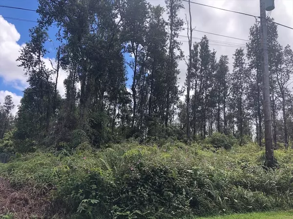 Pahoa, HI 96778,PRISCILLA RD