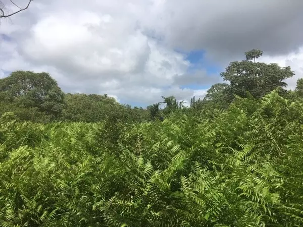 Pahoa, HI 96778,OPIHIKAO RD