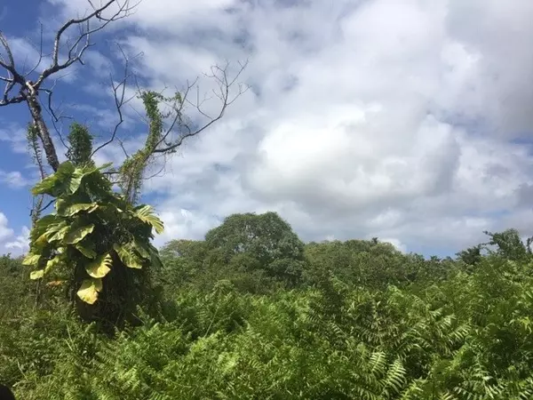 Pahoa, HI 96778,OPIHIKAO RD