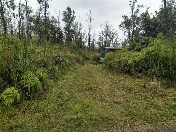 OMEKA RD, Volcano, HI 96785