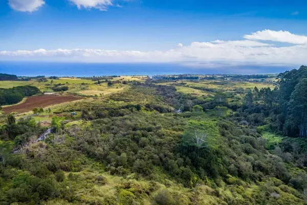 Hakalau, HI 96710,Kamaee Road