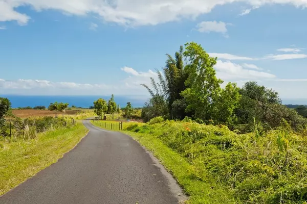 Kamaee Road, Hakalau, HI 96710