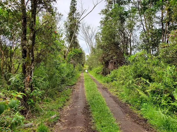 KING KAMEHAMEHA BLVD, Kurtistown, HI 96760