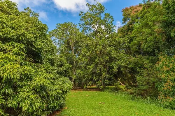 3610 MOLOAA RD #2, Anahola, HI 96703