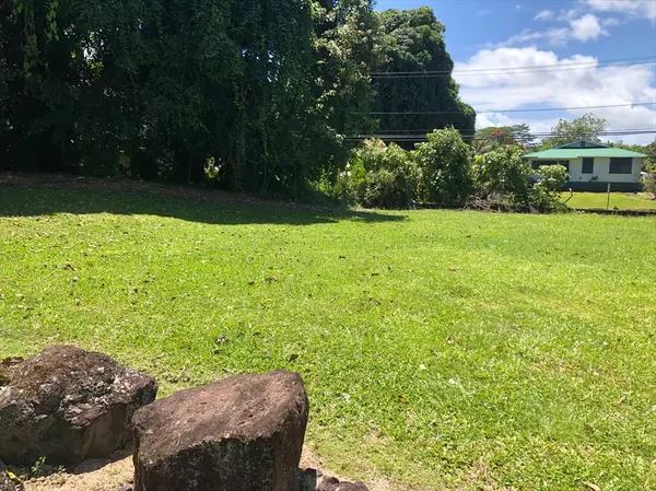 Hilo, HI 96720,1391 KALANIANAOLE ST