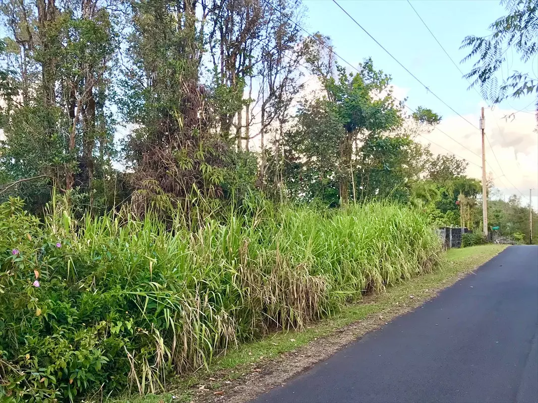 Pahoa, HI 96778,16-2067 MAUNA KEA DR