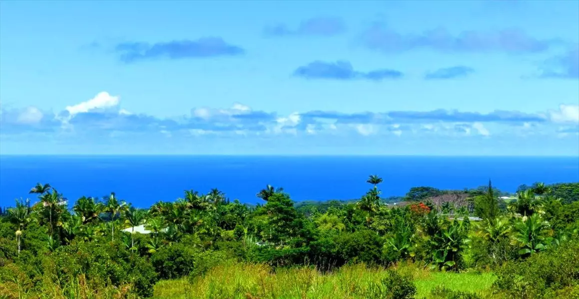 KAIWIKI HOMESTEAD ROAD, Hakalau, HI 96710