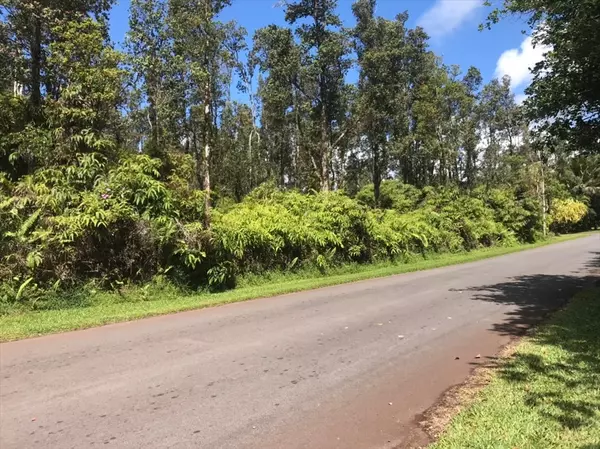 Pahoa, HI 96778,PUNA ST