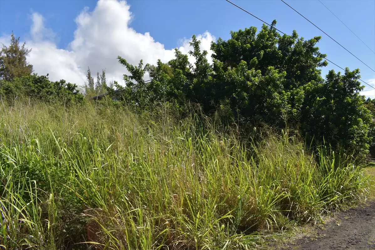 Naalehu, HI 96772,PELE ST