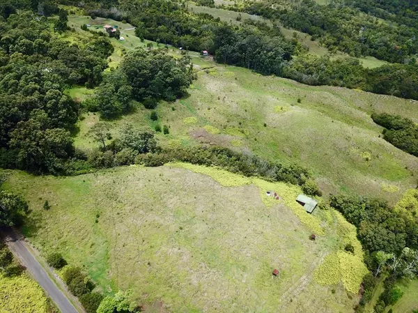 Laupahoehoe, HI 96764,36-750 360750