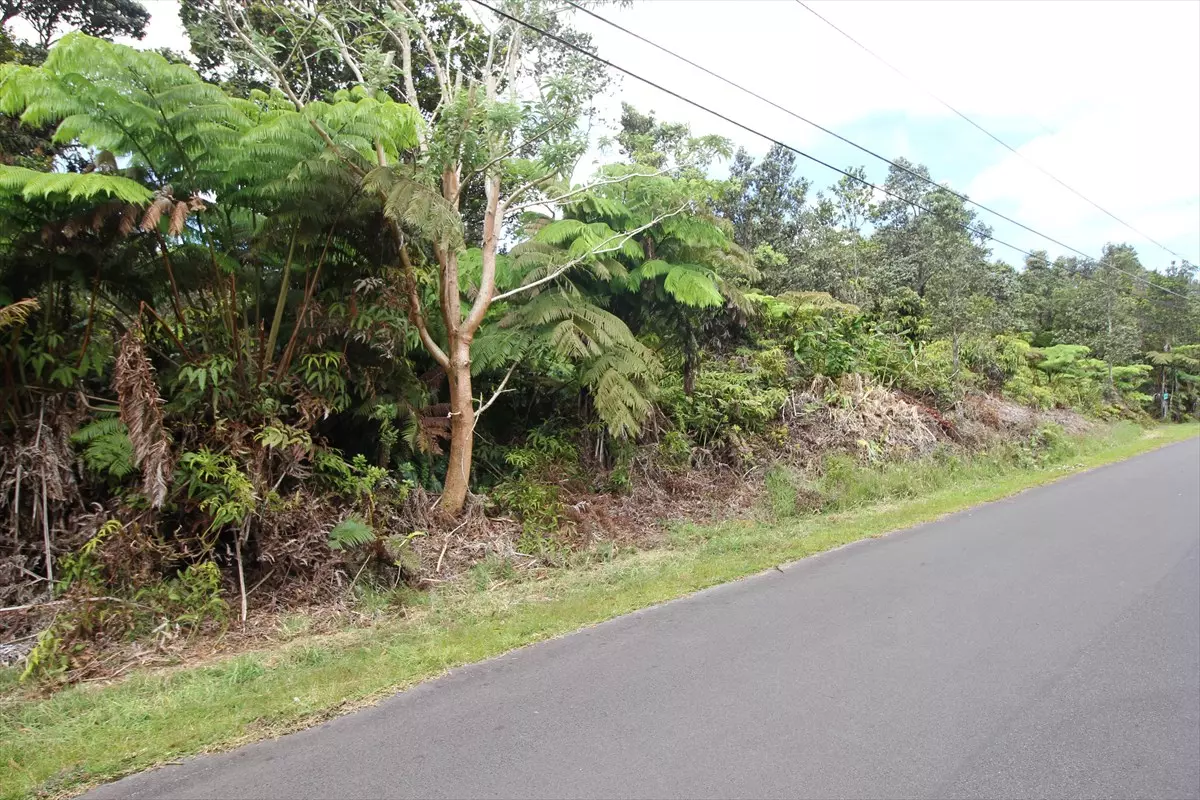 Volcano, HI 96785,NAHELENANI ST