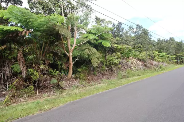 NAHELENANI ST, Volcano, HI 96785