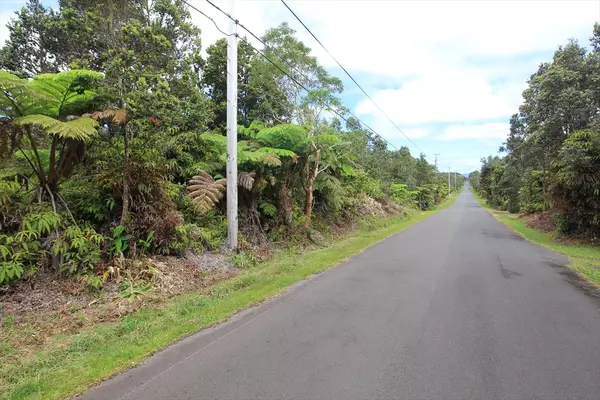 Volcano, HI 96785,NAHELENANI ST